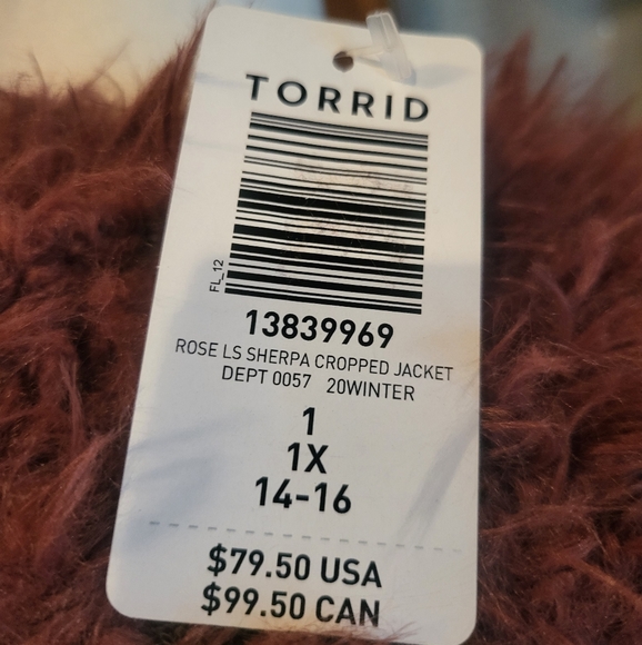 Torrid Jacket - Picture 3 of 3